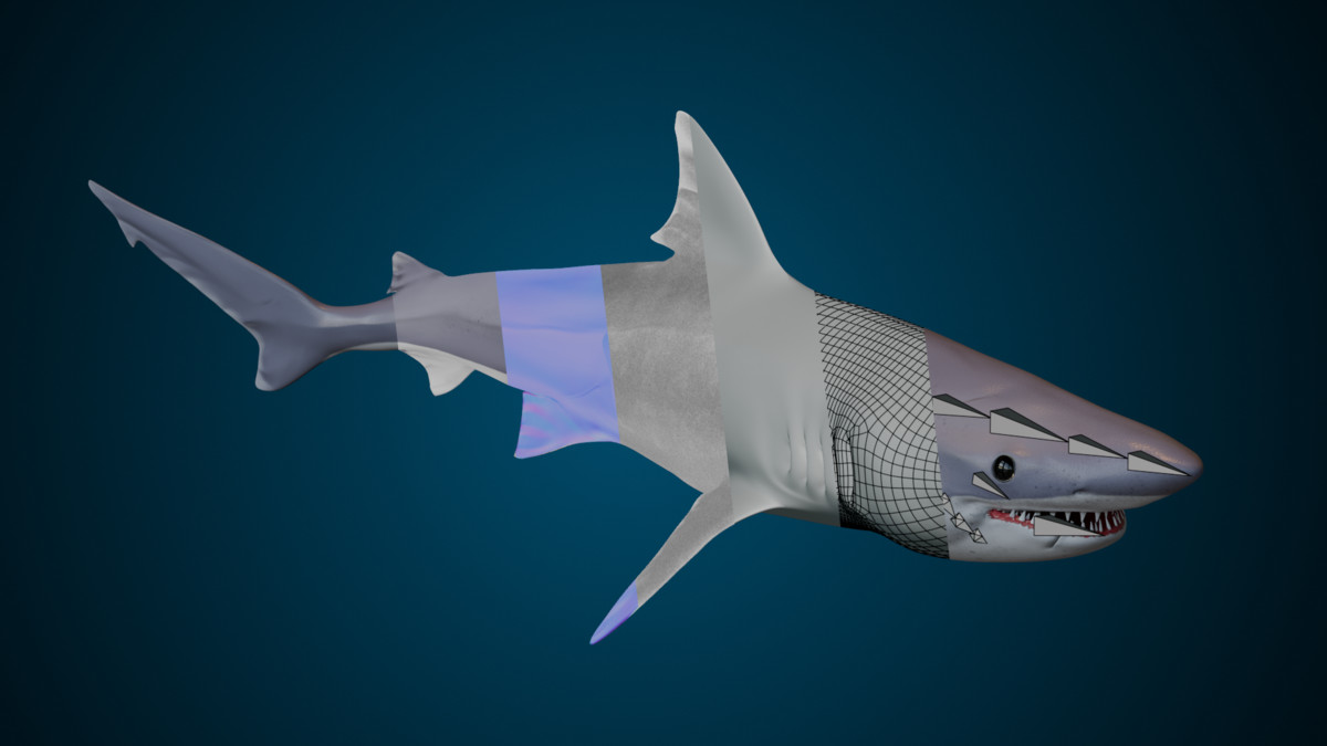Animated Shark (01)