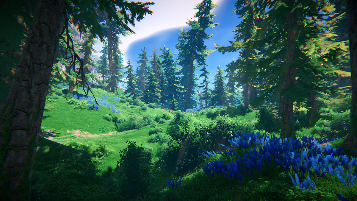 Adventure Nature Vol.7 Spruce Forest