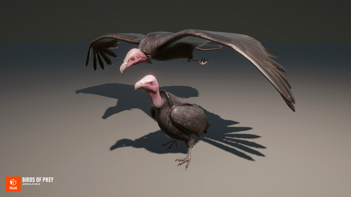 Birds of prey - animals pack