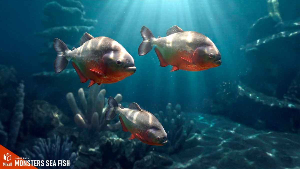 Monsters sea fish - large pack
