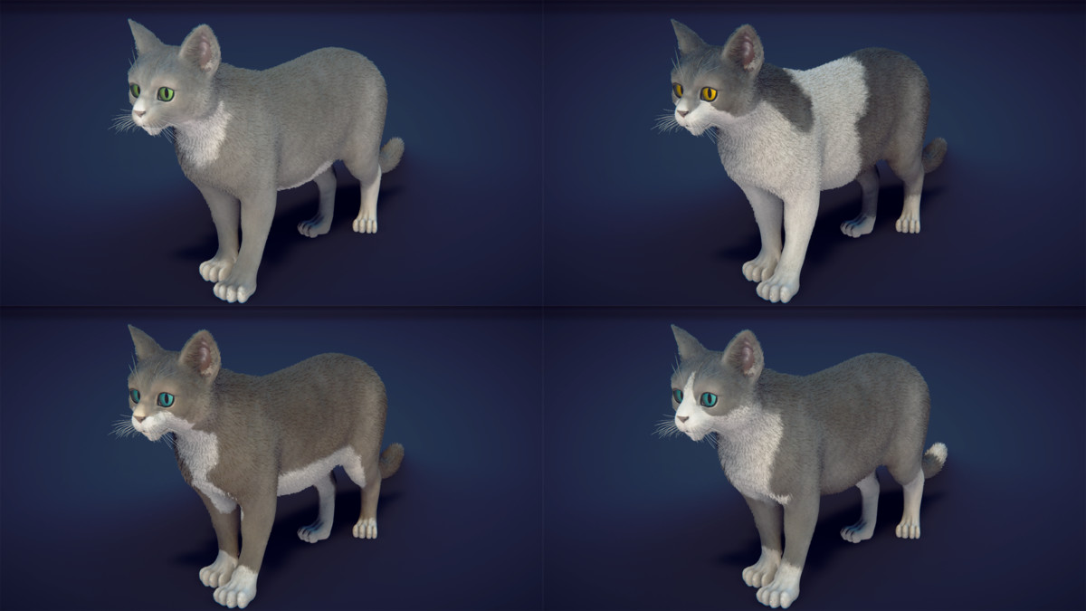 Milo the Cat