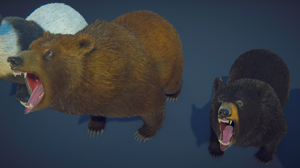 Realistic Bears