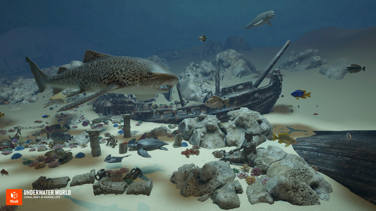Underwater world - Coral Reef & Marine Life