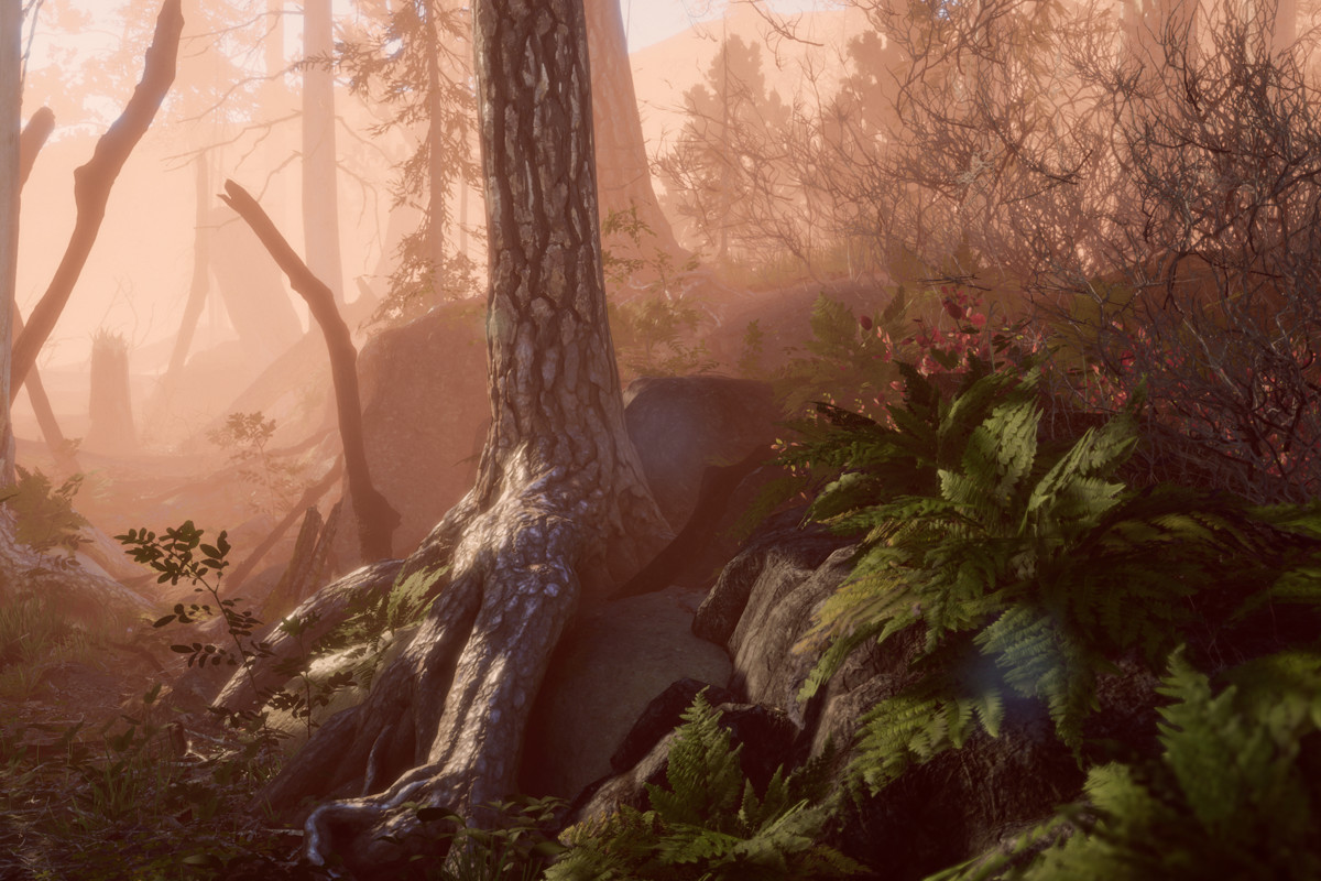 Book of the Dead Forest - URP - Fantasy RPG