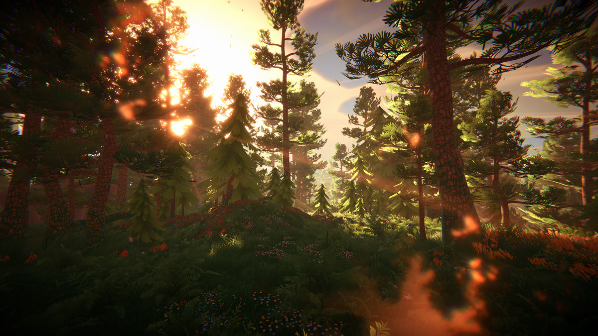 Adventure Nature Vol.6 Forest
