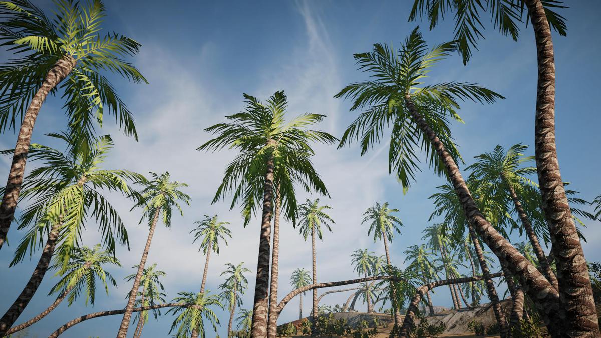 Big Tree Bundle