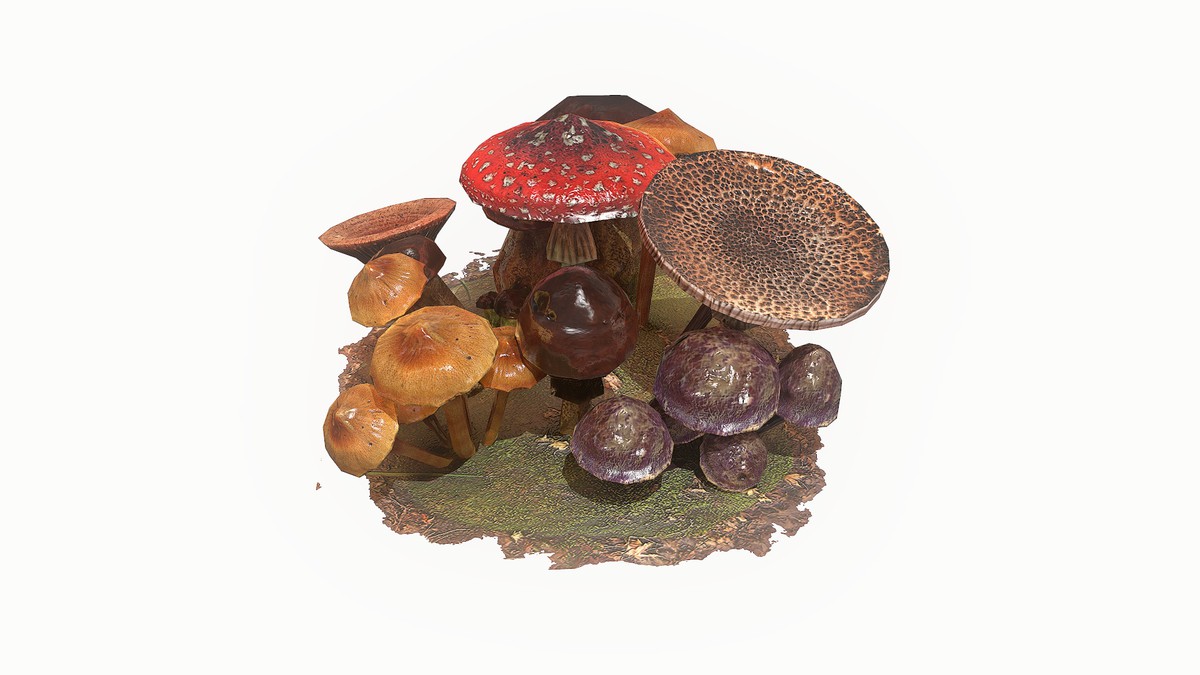 Mushrooms