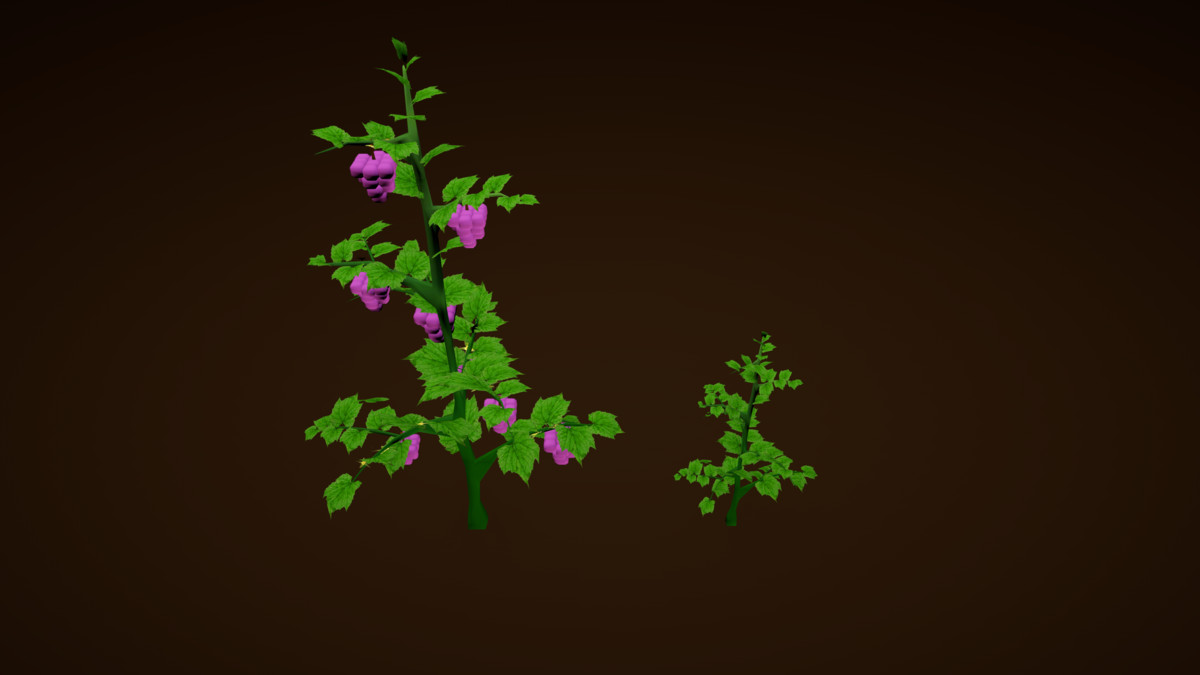 Garden Plants Set