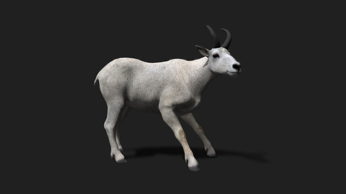 WILDPOLY - Animated Animals – Realistic Pack