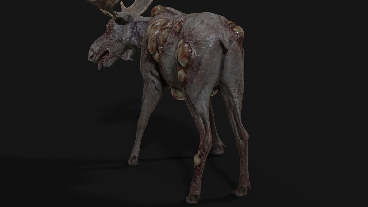 Rot Moose