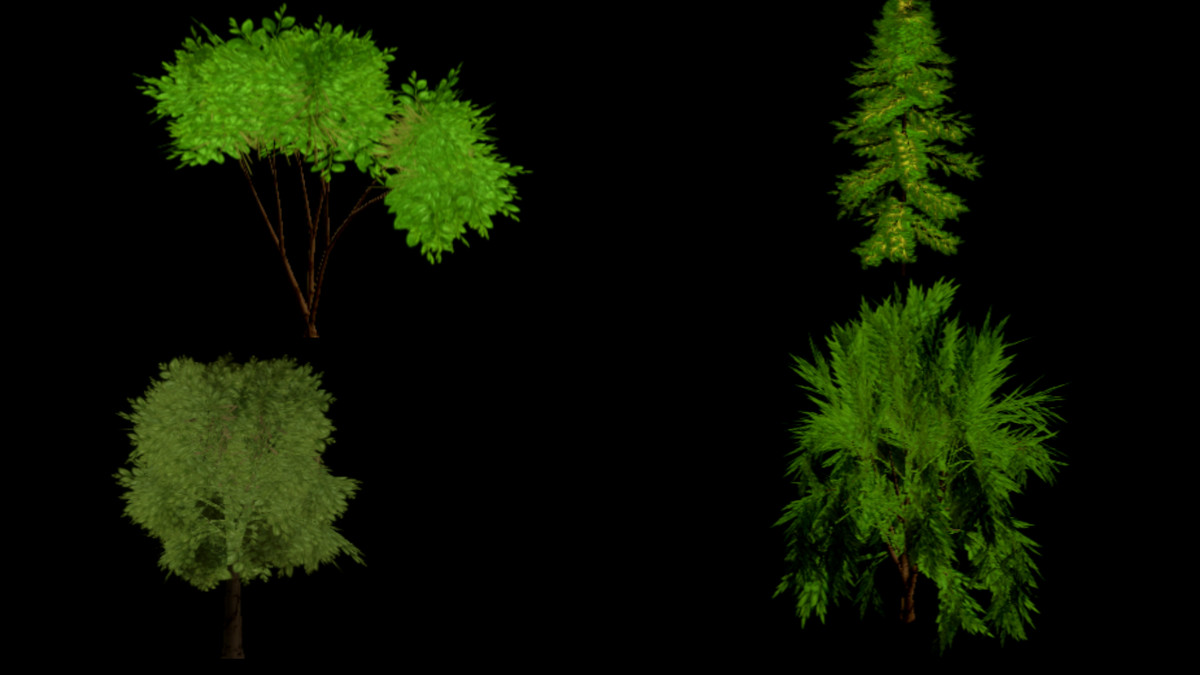 Nature Bundle