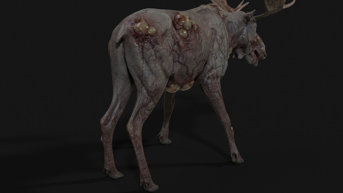 Rot Moose
