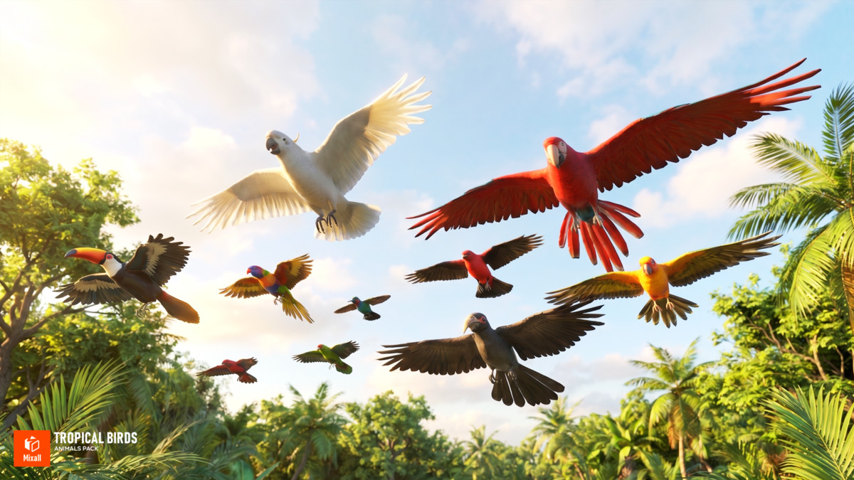 Tropical birds - animals pack