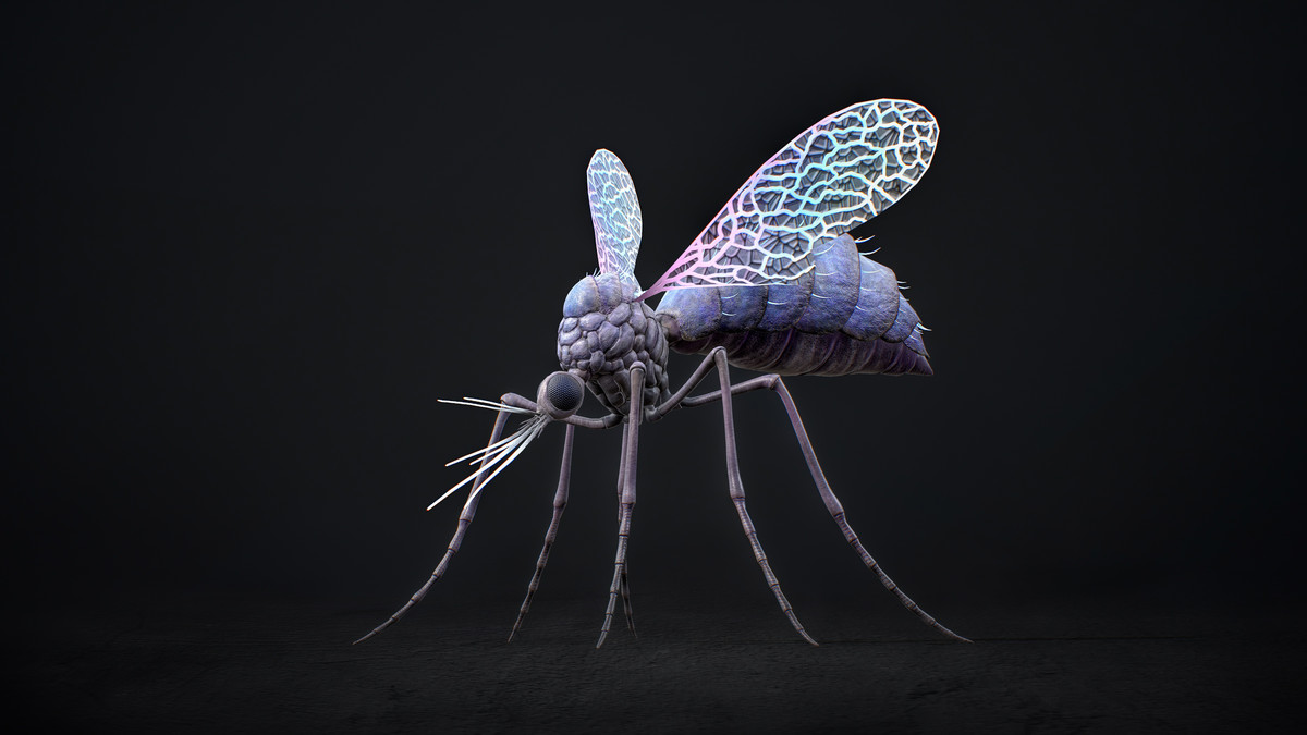 Mosquito Defender - Fantasy Magic Mosquitoes