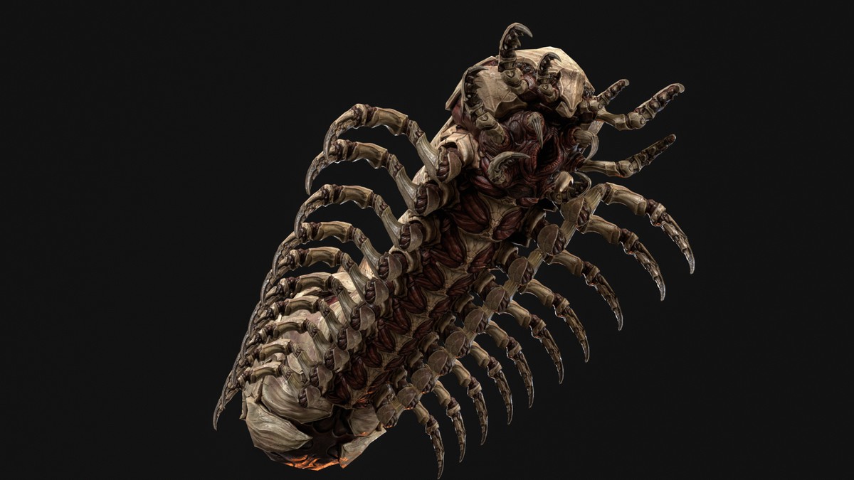 Broodmother Centipede Queen
