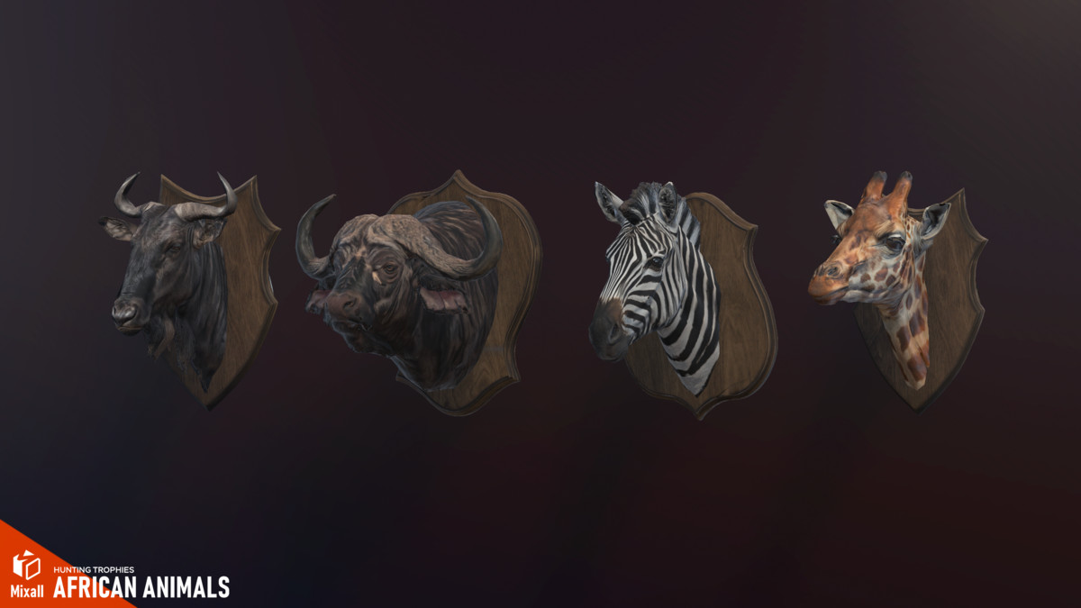 African animals – Hunting trophies