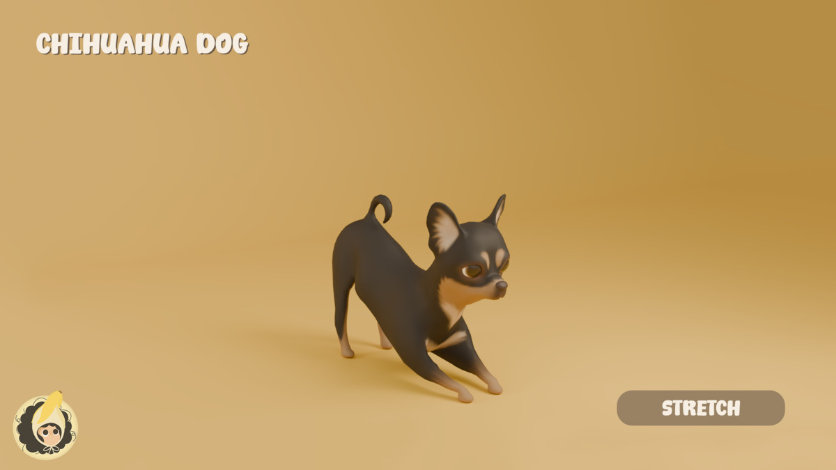 Animated Chihuahua Dog