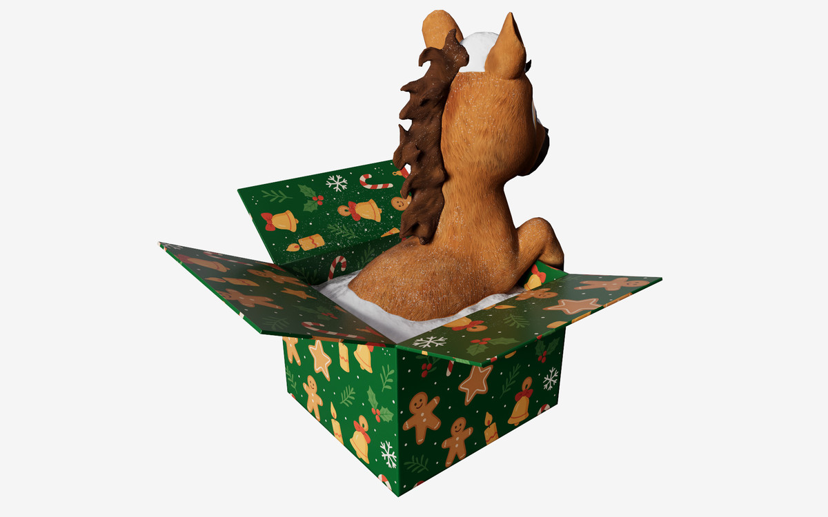 Baby Horse in the box