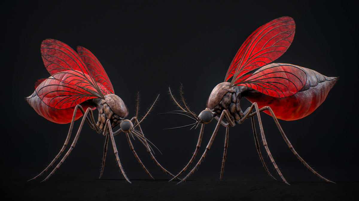Mosquito Queen - Fantasy Poison Mosquitoes