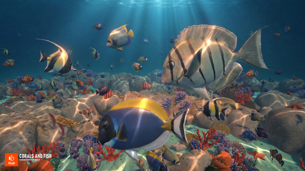 Corals and fish - underwater reef
