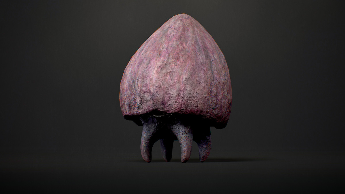 Mushroom Monsters1 Pack