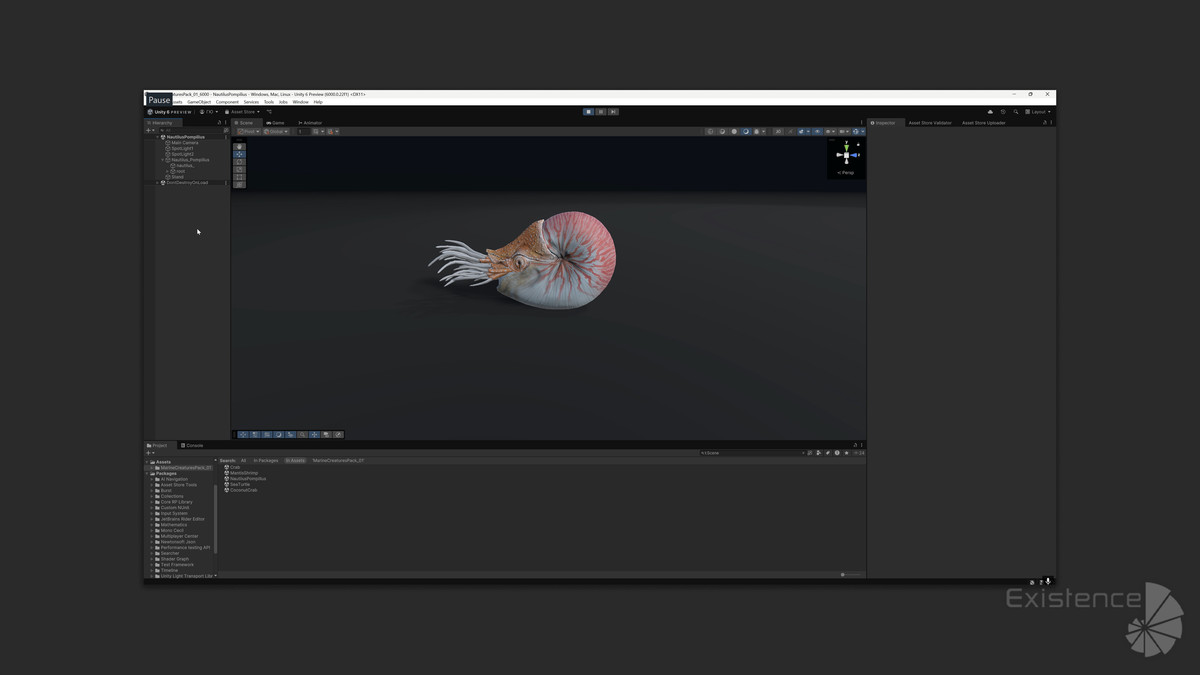 Crab - Coconut Crab - Mantis Shrimp - Sea Turtle - Nautilus - #70