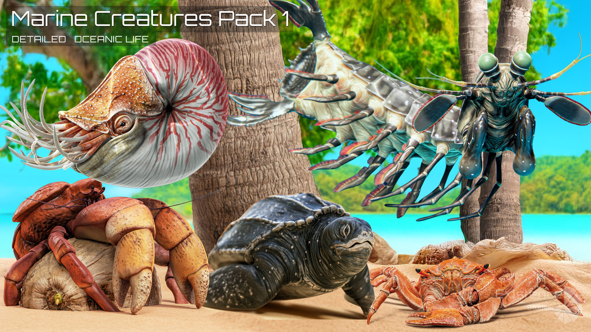 Crab - Coconut Crab - Mantis Shrimp - Sea Turtle - Nautilus - #70