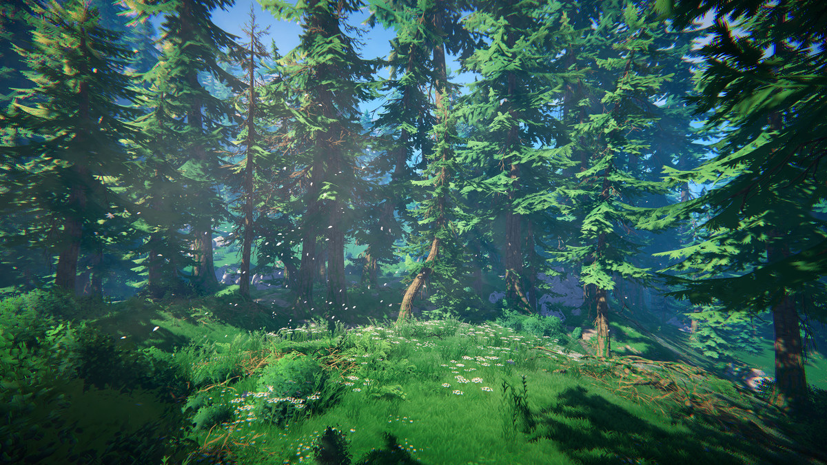 Adventure Nature Vol.7 Spruce Forest