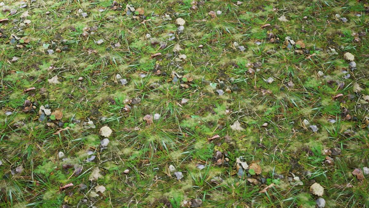 Realistic Materials - Forest Ground 2
