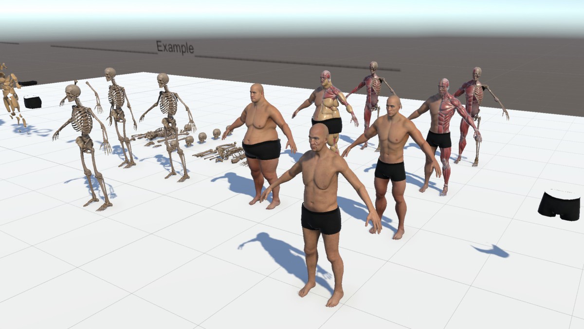 Anatomy Ultimate Pack