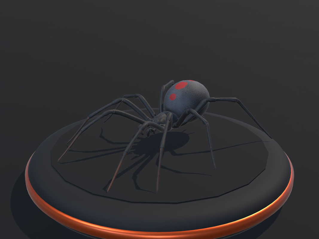Arachnid Collection — 4 Animated Spiders