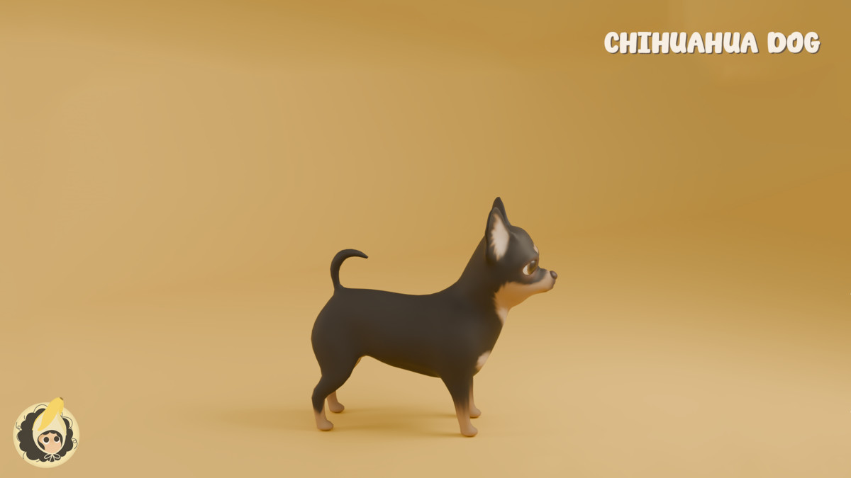 Animated Chihuahua Dog