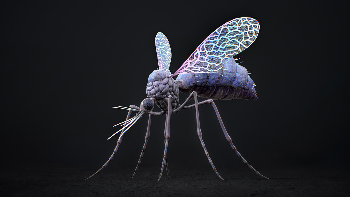 Mosquito Queen Boss - Fantasy Magic Mosquitoes