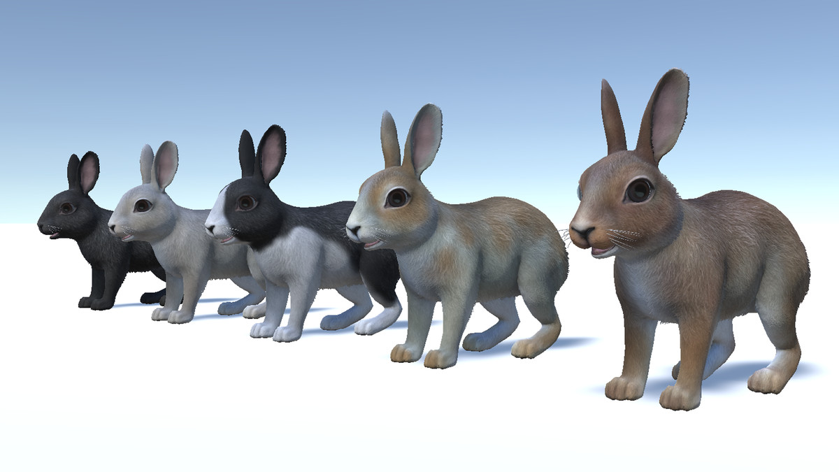 Rabbit Family