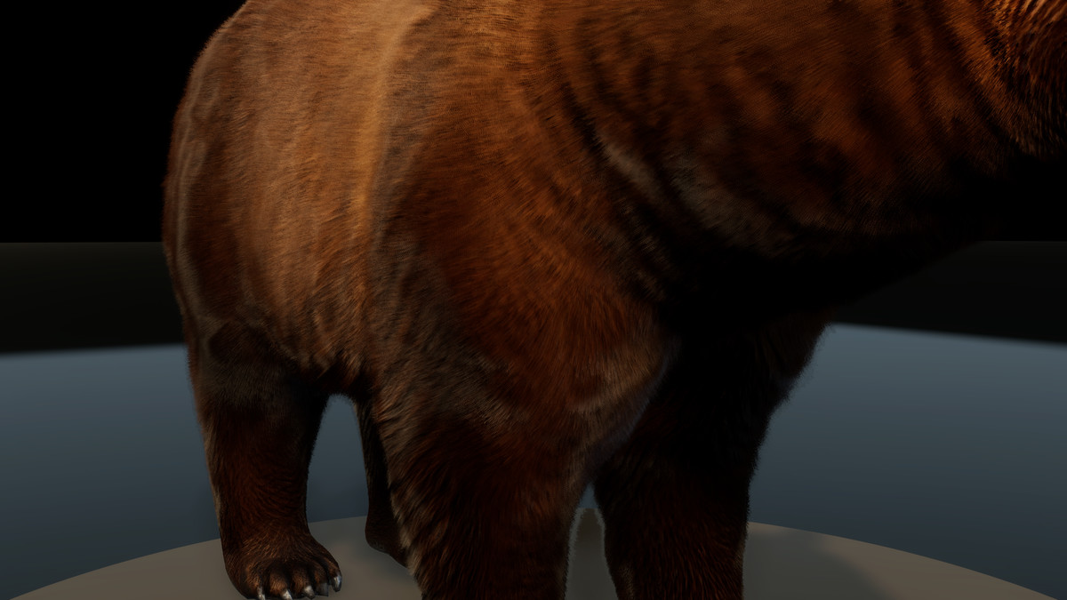 Forest Predators Collection - Realistic Animated Animals