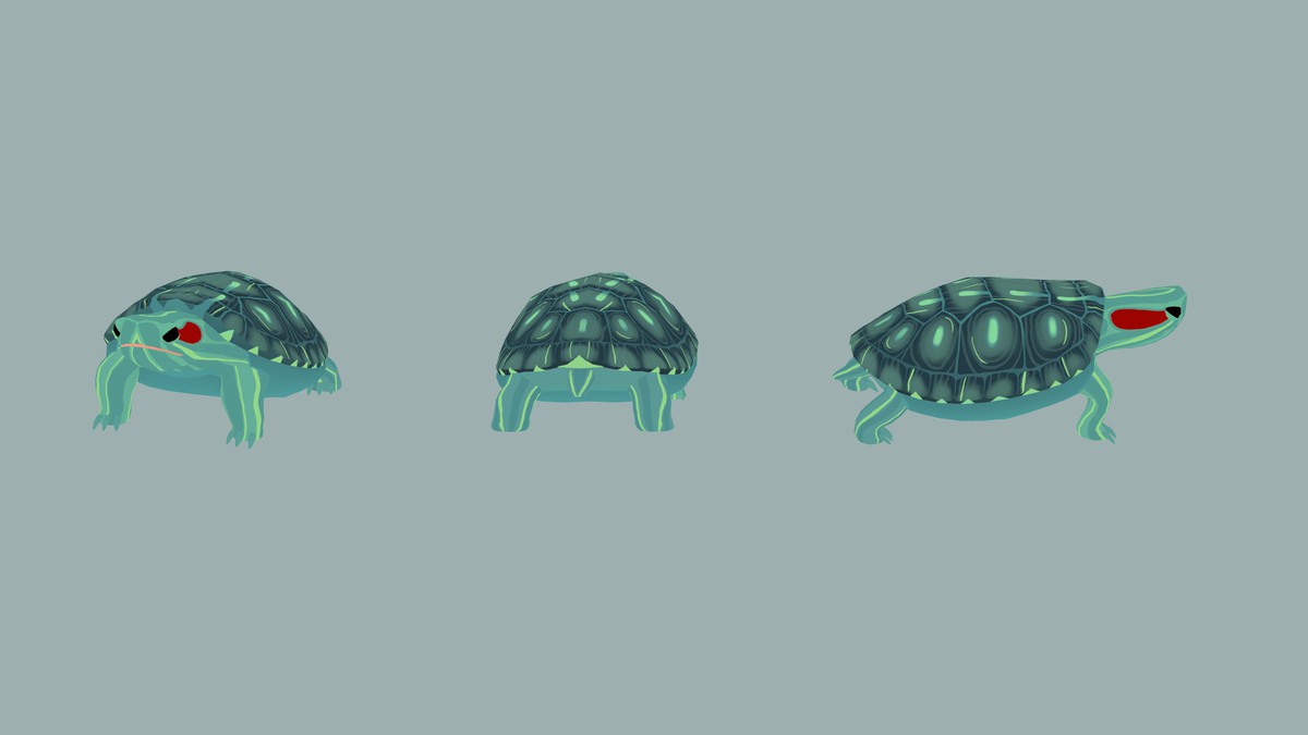 Stylized Turtle Animation Pack– FAUNA