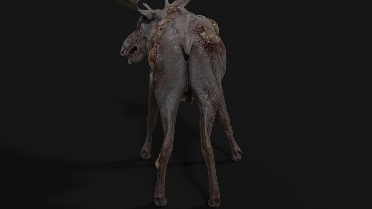 Rot Moose