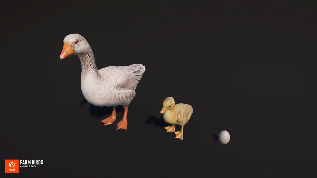 Farm birds - animals pack