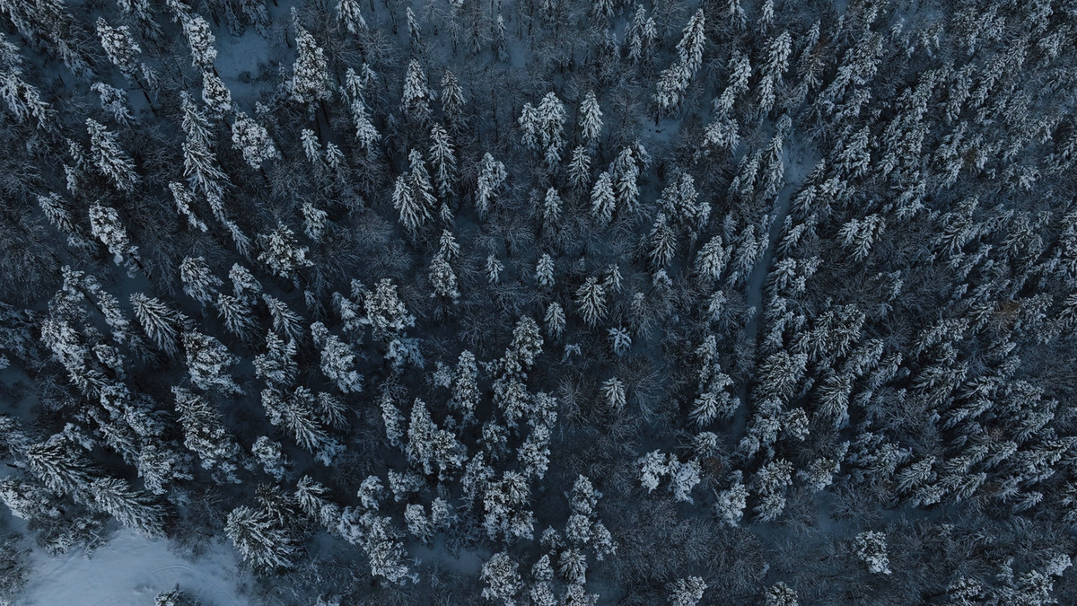 Winter Symphony Music Pack Vol1