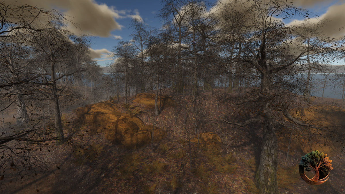 Broadleaf Forest