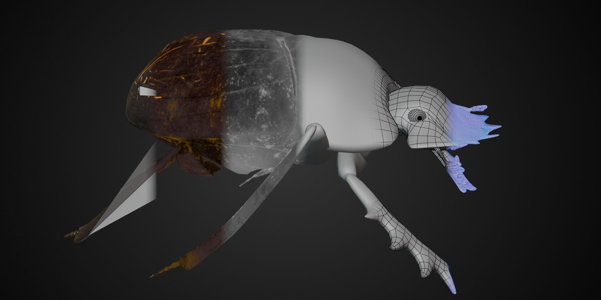 Animated Dung Beetle
