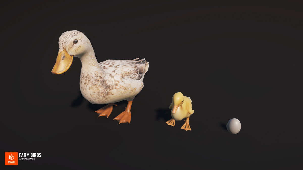 Farm birds - animals pack