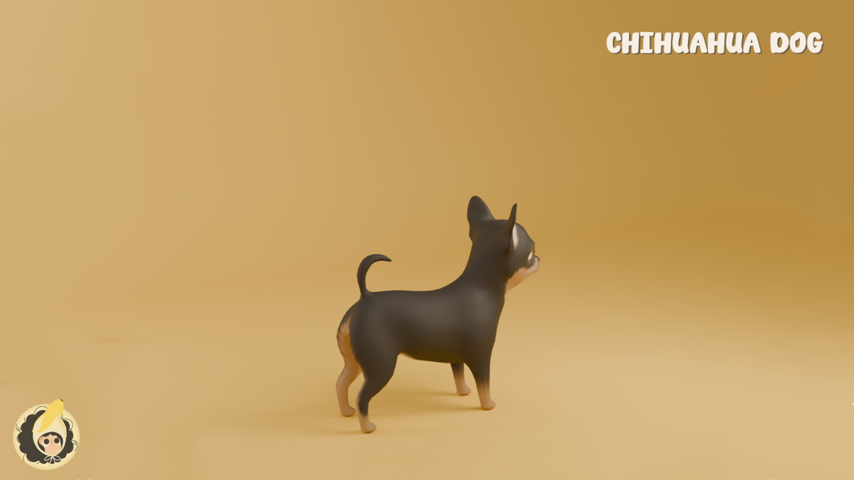 Animated Chihuahua Dog