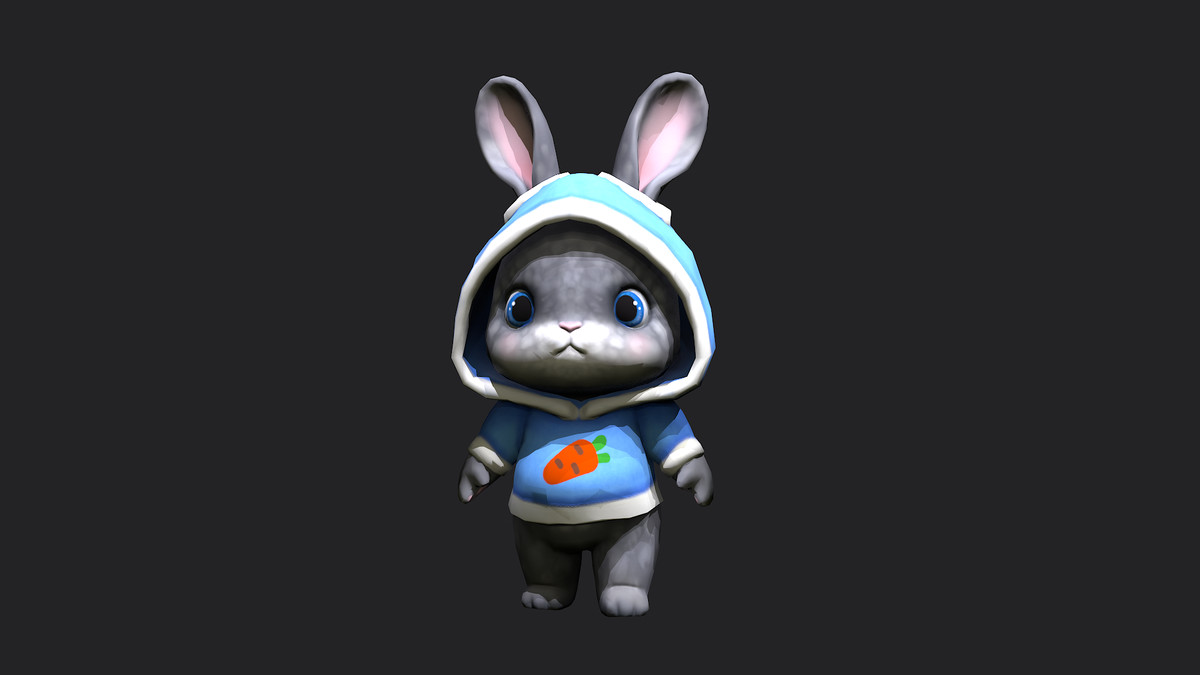 Bunny in hoodie
