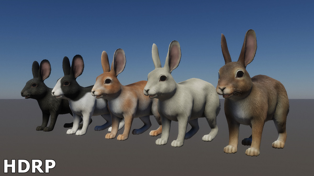 Rabbit Family