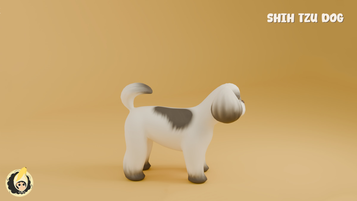 Animated Shih Tzu Dog