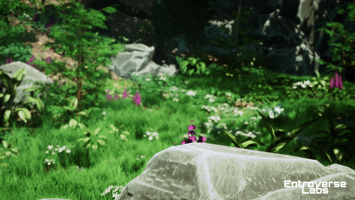Whispering Grove Environment