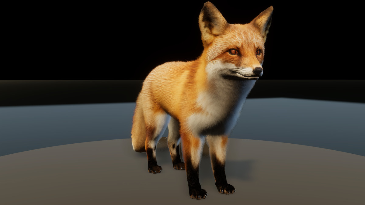 Forest Predators Collection - Realistic Animated Animals