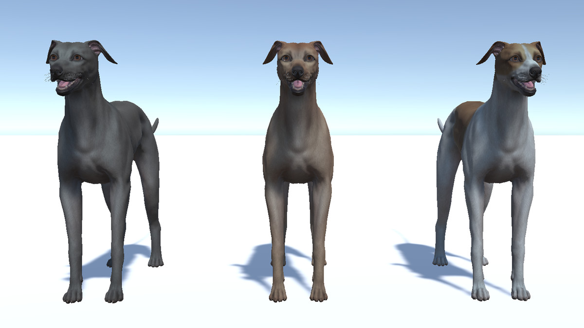 Dog -- Greyhound