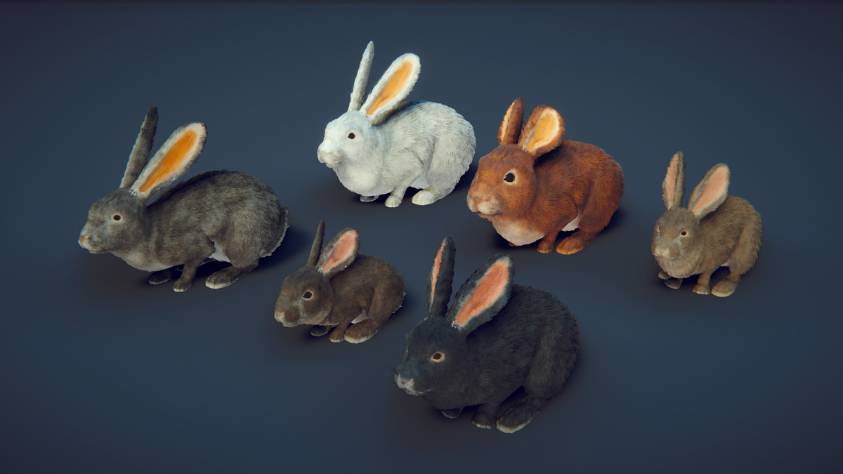 Realistic Rabbits